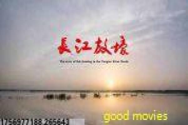 《电影三生三世十里桃花》影视特效与美学效果剖析
