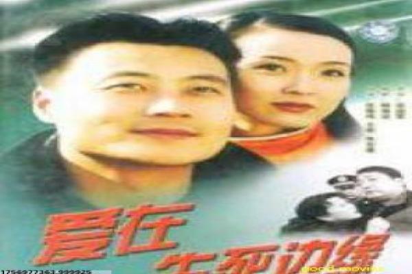 《绝望的主妇第五季》剧情解析,主妇绝望的