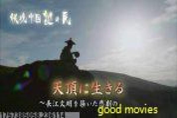 《二叔》分集剧情设定与家庭关系讲解