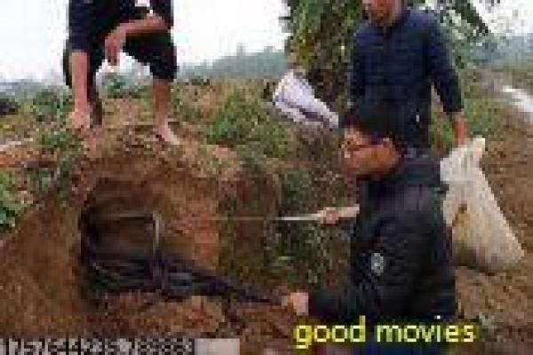 《腌黄瓜先生第一季》第一季黄瓜影片拍摄故
