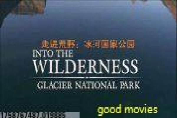 《嗜血蟑螂》嗜血变异蟑螂的惊悚故事情节完