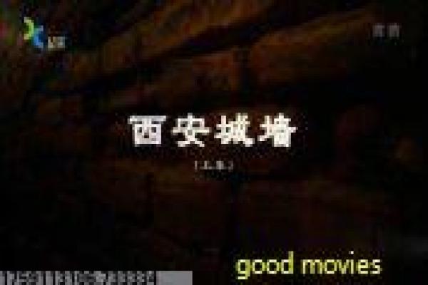 《钱德拉穆琪》钱德拉穆琪的感人爱情故事情节拍摄解读