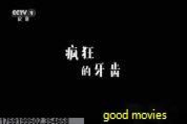 罪梦者在线观看-罪梦者在线梦魇杀,在线观
