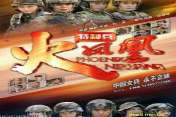 《妙探双龙》故事情节深度还原,双龙妙探搭
