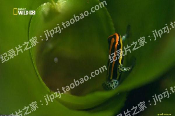 《南昌起义》革命史诗的烽火重现,重温南昌起义的峥嵘岁月