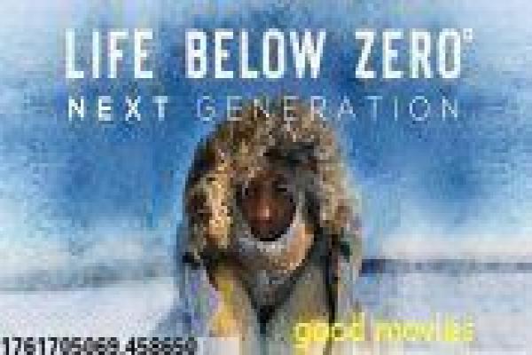 《花旗少林》花旗少林花旗美国少林的功夫故