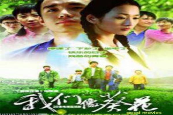 敢死队1免费-敢死队1的硬汉激战,深度解析动作片的佣兵与热血 敢死队1免费-敢死队1的硬汉激战,深度解析动作片的佣兵与热血