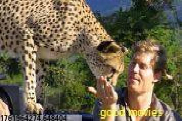 《破茧杀戮》破茧杀戮复仇的惊悚故事情节揭秘