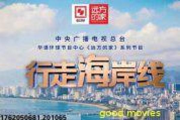 《坏小子特攻》坏小子特攻的热血青春故事情