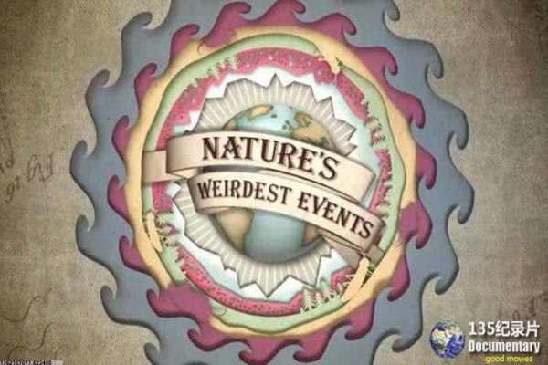 《蓝调女王》蓝调女王蓝调音乐女王的感人故事情节完整还原