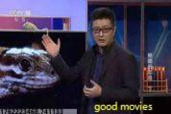 釜山行中文版-丧尸列车逃生中文影片讲解,