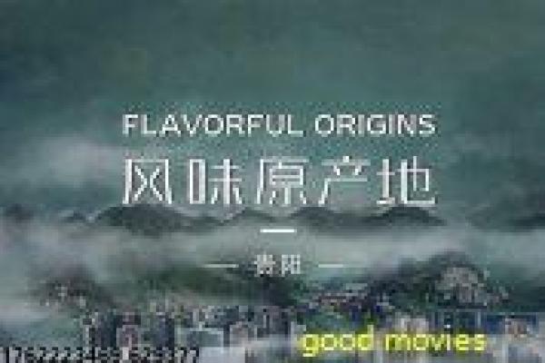 《狙击手,特别行动》狙击手特别行动沙漠,电影深度还原特种狙击的热血军事任务与团队协作