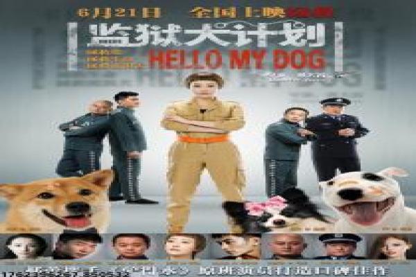 《万物理论》万物理论的霍金传记,深度解析埃迪·雷德梅恩主演的励志片 《万物理论》万物理论的霍金传记,深度解析埃迪·雷德梅恩主演的励志片