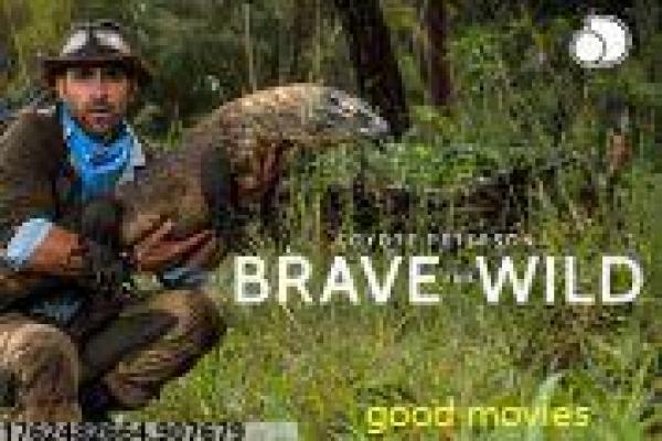 《东方圣母陈靖姑》影视讲解,陈靖姑东方圣