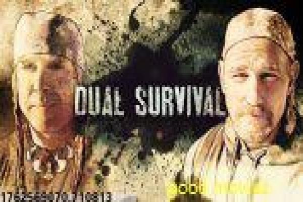 《洞察》谎言之网的理智挣扎,洞察全景解析悬疑心理战