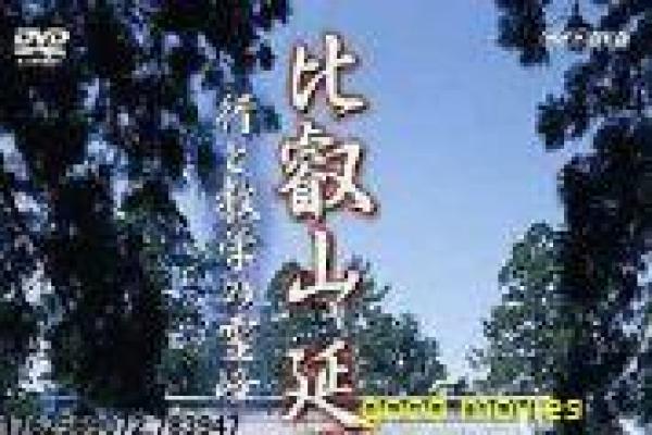 《结婚那件事》影视解析详解,结婚那事的婚礼风波与浪漫